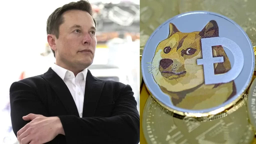 Cryptocurrency Surges 20% As Musk Changes Twitter Logo To ‘Meme Dog’