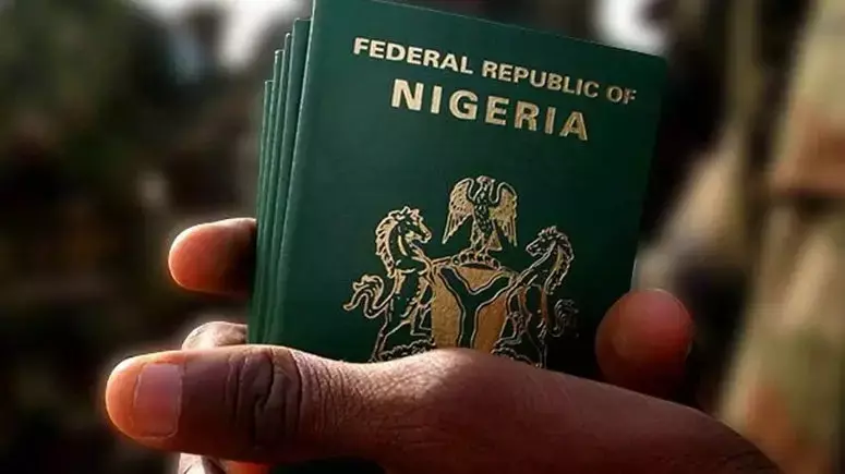 Federal Government to Implement Reciprocity Principle in Visa Issuance